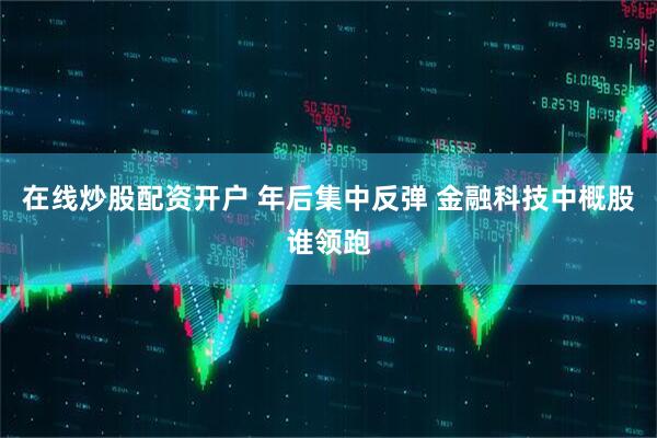 在线炒股配资开户 年后集中反弹 金融科技中概股谁领跑